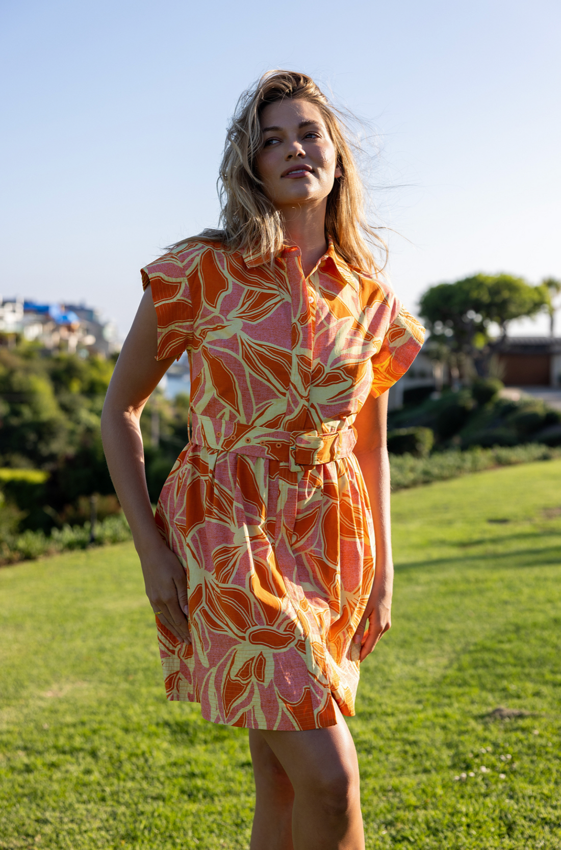 Remi Dress